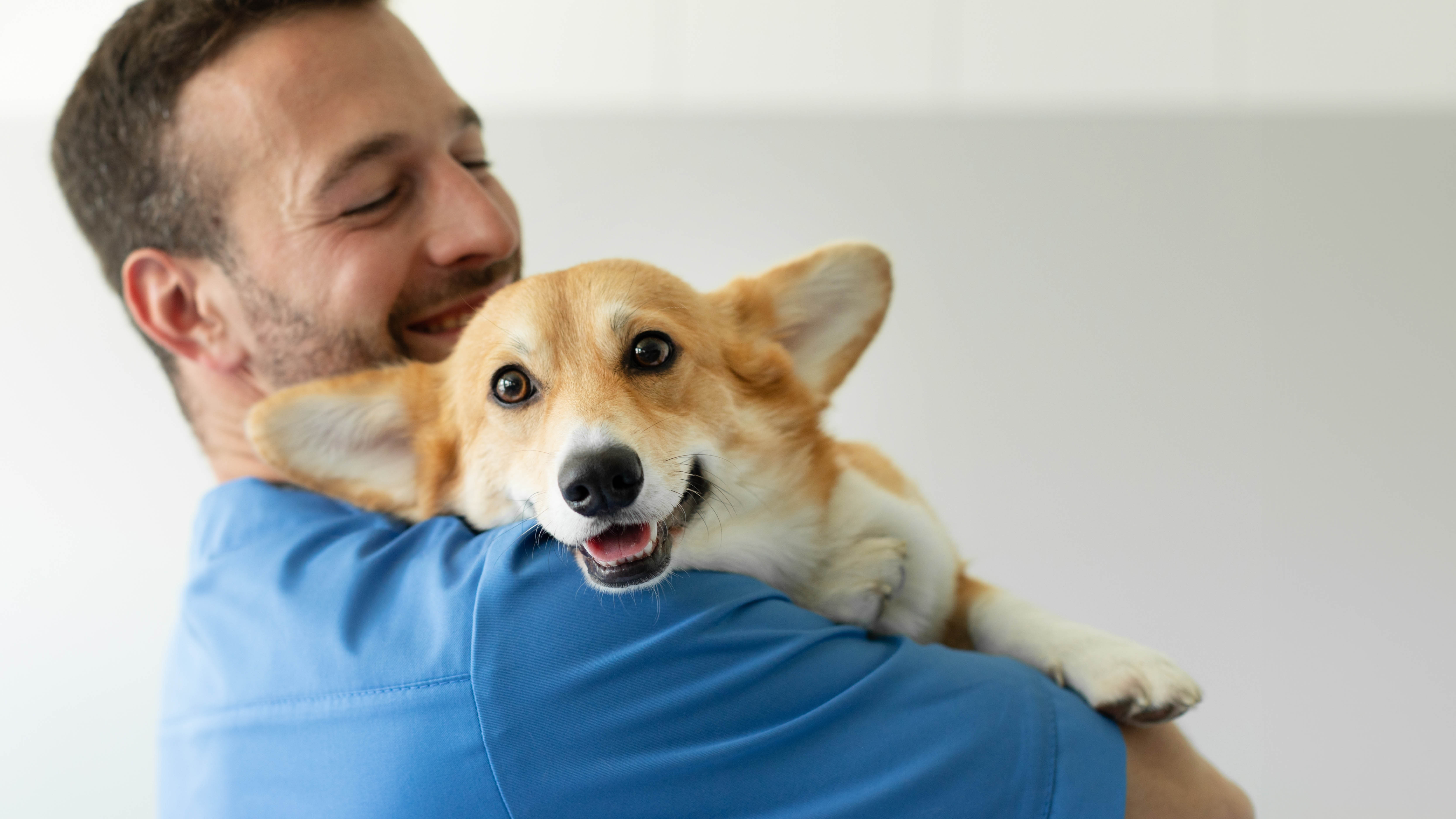 Middle aged man in a blue sweater holding a corgi and smiling